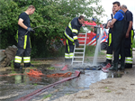 Prio 2 Dier te Water Paard Dykhuzen Gerkesklooster